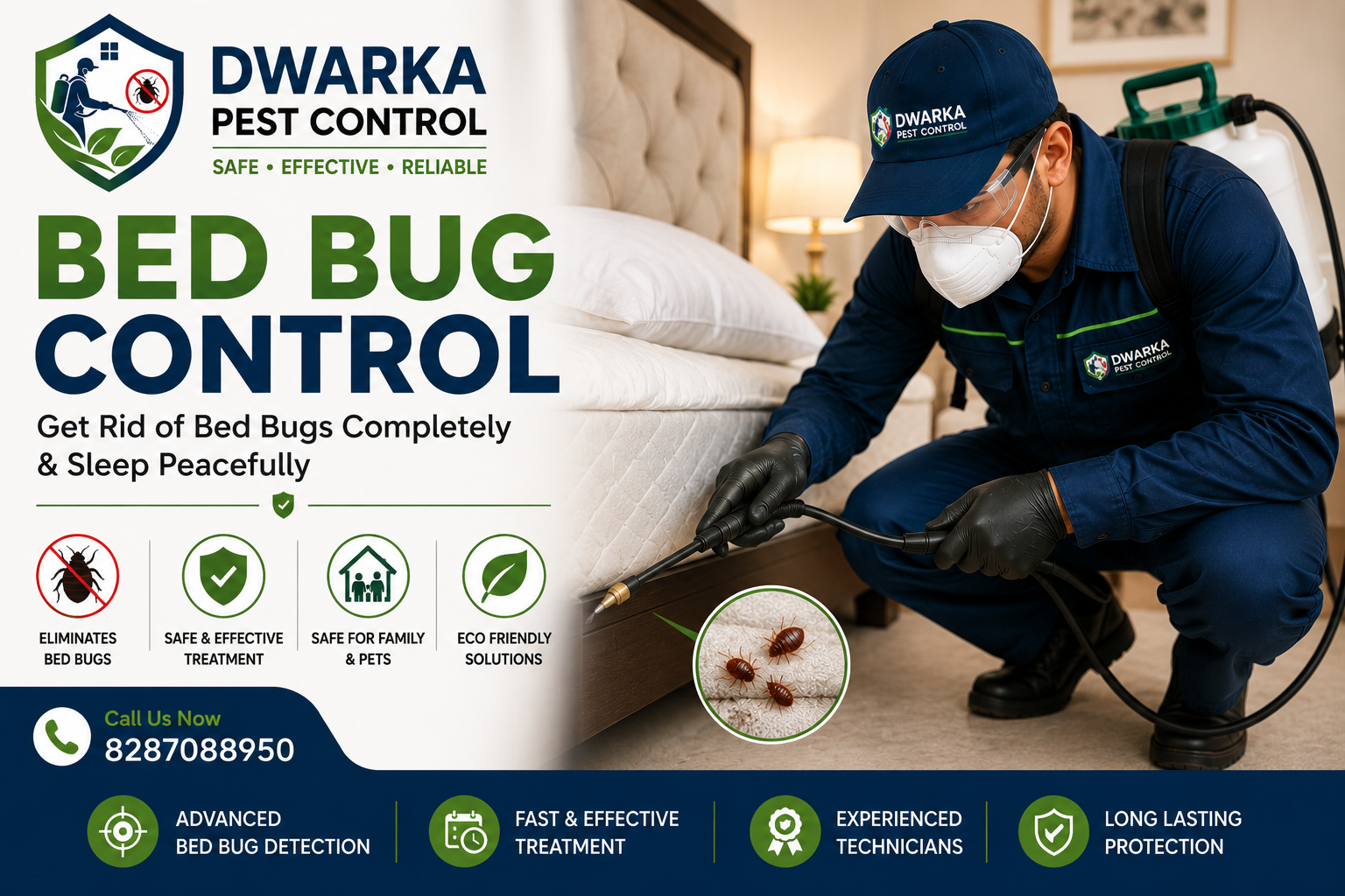 Bed bug control service in Dwarka Delhi